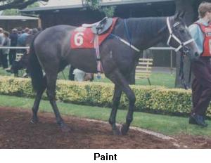 paint.jpg (13729 bytes)