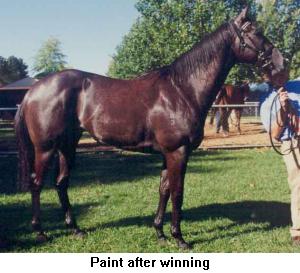 paintafter.jpg (20024 bytes)