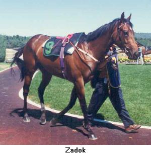 zadok.jpg (17629 bytes)