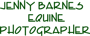 jbequinephot294.gif (3857 bytes)