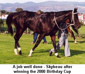 skybeau080400after.jpg (20709 bytes)